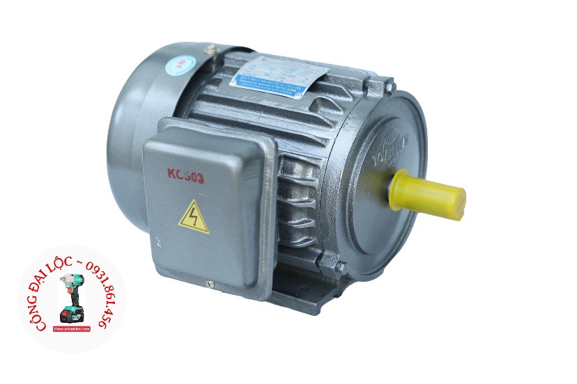 Động Cơ Điện 1 Pha 3HP - 2.2kW Vỏ Gang ( vòng tua nhanh , 2.900 vòng / phút )