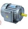 Động cơ điện 1 pha 1.5HP - 1.1kW Vỏ gang ( vòng tua chậm , 1.500 vòng / phút )